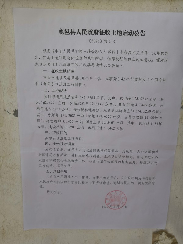 大张.jpg